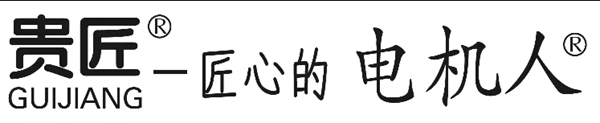 電機(jī)人